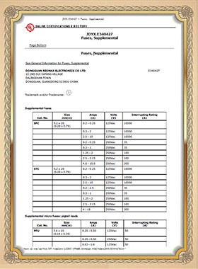 China Dongguan Tianrui Electronics Co., Ltd Certificações